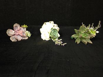 Succulent Boutonnieres and Corsages 